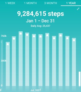 MONTHLY STEPS 2020